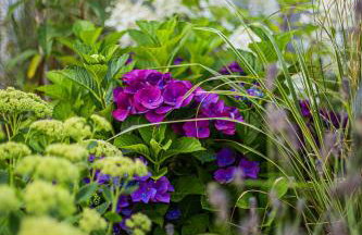 Niebieski Kamyk - Foto 65