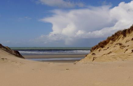 Maison Napoléon - Foto 33