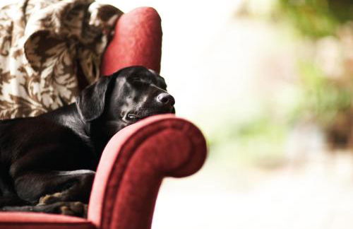 Ballathie House Hotel - Photo 36