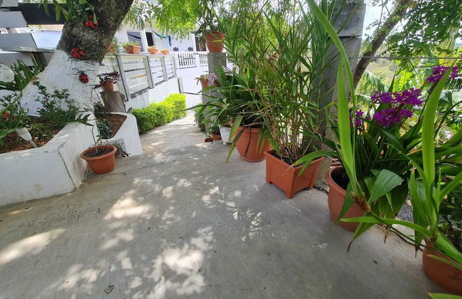 Casa Colibri - Foto 21