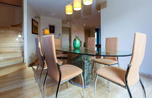 Gira-sol Planetcostadorada - Foto 11