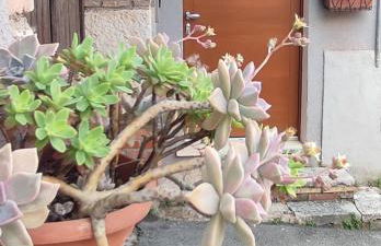 Altrove, lontano quanto basta - Foto 29