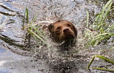 Ferien im Bomlitztal - Foto 62