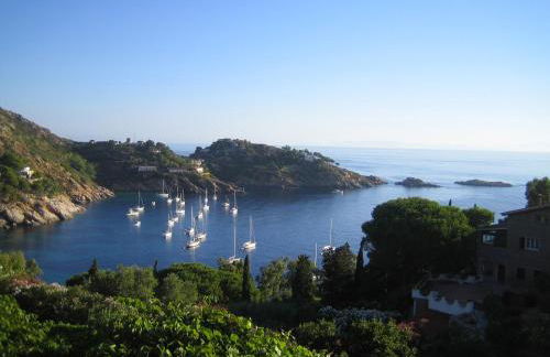 La Bouganville - Foto 1