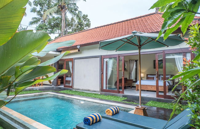 Dana's Place Private Villa - Photo 50