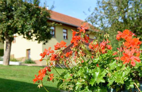 Ruralna kuca 'Villa Zagorka' za odmor sa bazenom i bočalištem - Foto 17