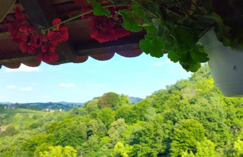 Ruralna kuća za odmor Brezanka, Zagrebačka ulica 21 Gornja Stubica - Foto 16