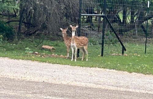 Bandera Bungalow - River, Downtown, Peaceful fenced corner lot! King bed! - Foto 29