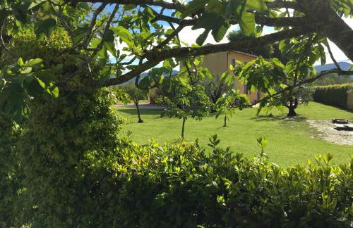 Podere Gabry - Foto 30