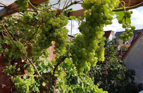 Gemuetlicher Bungalow mit Garten UND Whirlpool in Nakenstorf - Foto 68
