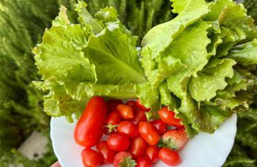 Fattoria Tolomei - Foto 64