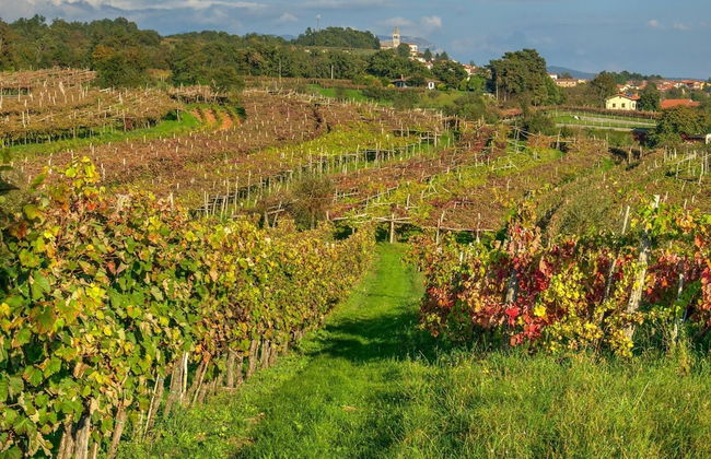 Villa Kambra With Whirlpool - Foto 31