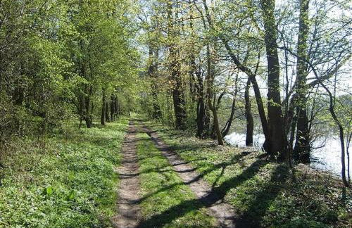 Ferienwohnung A0 - Foto 7