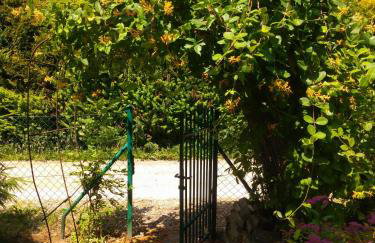 Dom Aga Bieszczady 10 osobowy - Foto 20