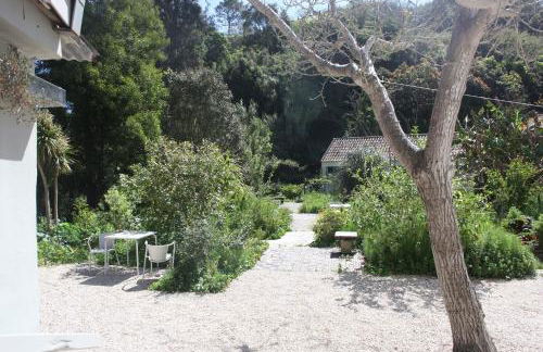 ribeira dos marinheiros vermelho - Foto 4