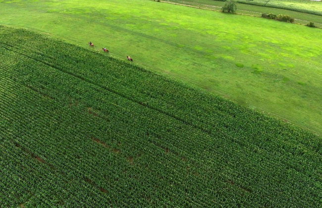VVF Normandie Forges-les-Eaux - Foto 47