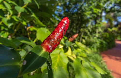 Waterfall House with Ocean Views in Haiku, Maui - Photo 33