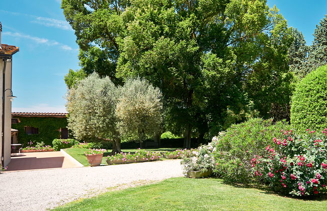 Bardeggiano - Caterina 3 (COL246) - Foto 50