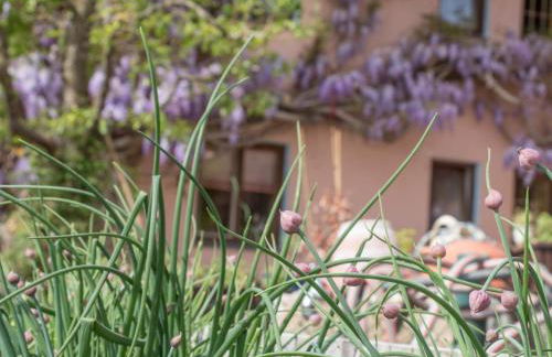 Beim Danner - Foto 9