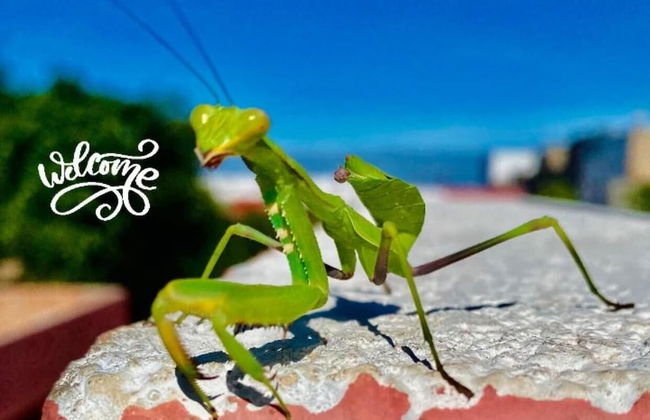 Maison Charmante - Photo 12