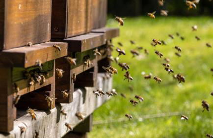 Ferienhaus am Südwall links - Foto 37