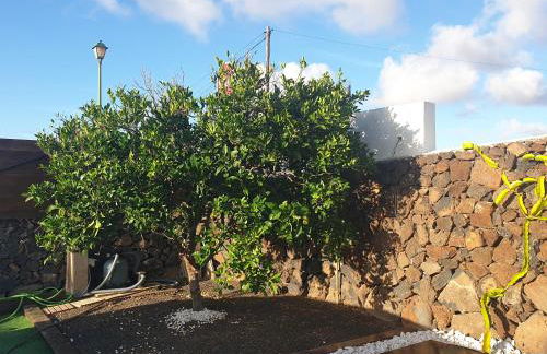 La Malvasía - Photo 11