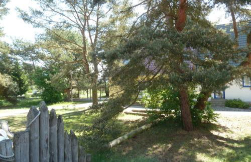 romantisches Ferienhaus Boddenblick mit Sauna - Foto 24