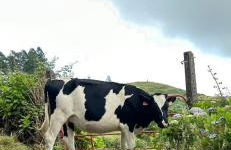 Welcome to Casa Fitz with Ocean Views and Air Conditioning - Photo 36