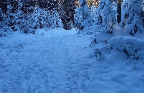 Haus Fehrenbach - Foto 11