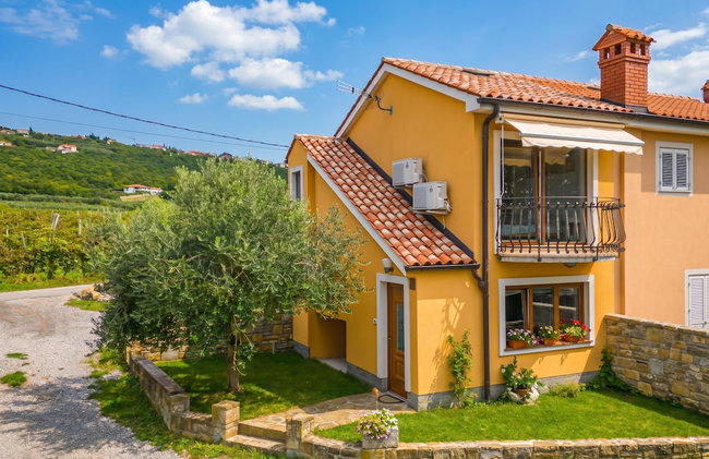 House In The Vineyards - Foto 43