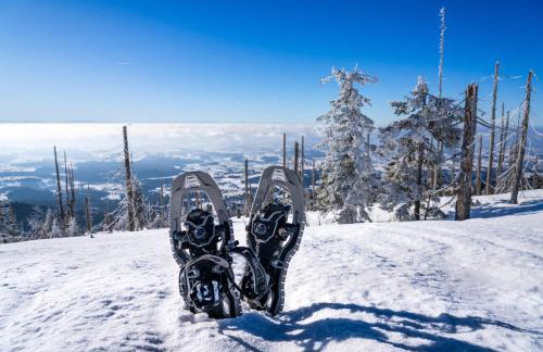 Landhaus Lerchenweg FeWo inkl aktivCARD - Foto 17