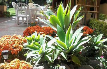 Casa das Palmeiras + Quiosque - Foto 39