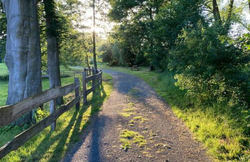 In der Wassermühle - Foto 23