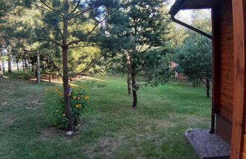 Pod Dębem Bis - Foto 14