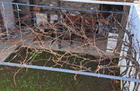 Hamilton House - Photo 29