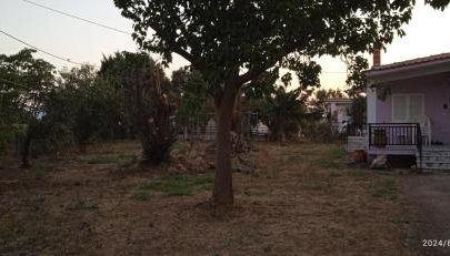 Korina house - Foto 5, Garden view