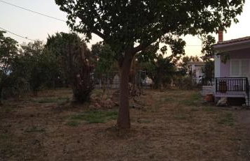 Korina house - Photo 5