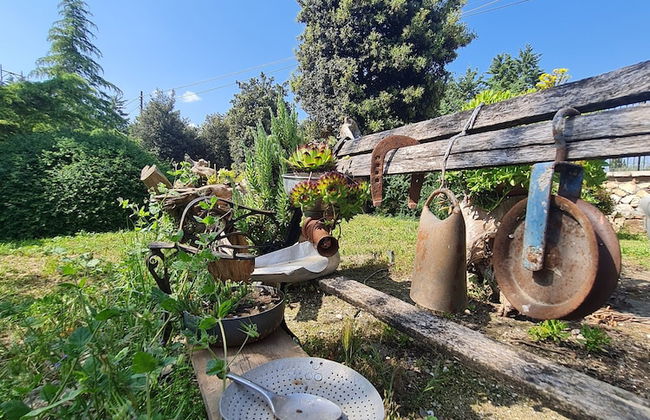 AgriBio Villa Ribes - Foto 44