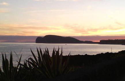 Casa Ilhéu - Fajã do Fisher - Photo 23