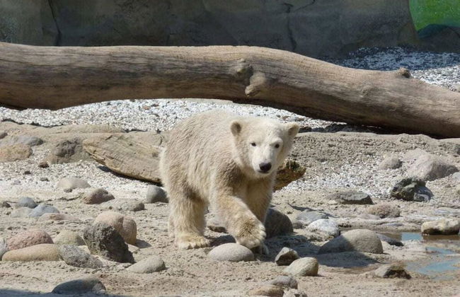 Holiday Apartment With a Terrace - Foto 12