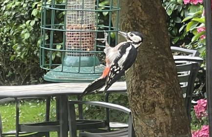 West Lynch Farm Allerford - Photo 20