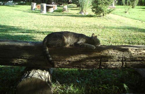 Seoski Turiziam Larva - Photo 12