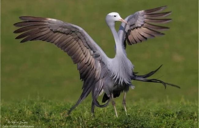 Old Cape Last Trading Post - Foto 29