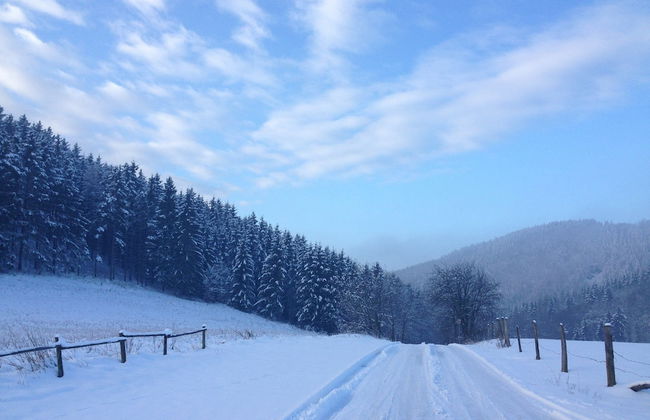 Ferienhaus, Medebach - Foto 35