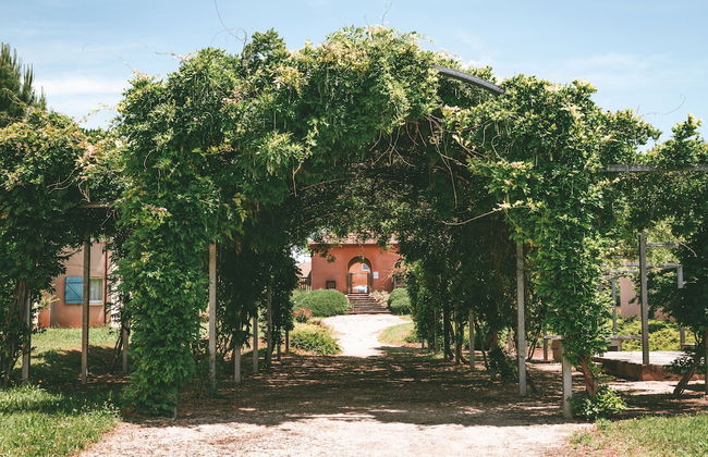 Terres de France - Domaine de Claire Rive - Foto 25