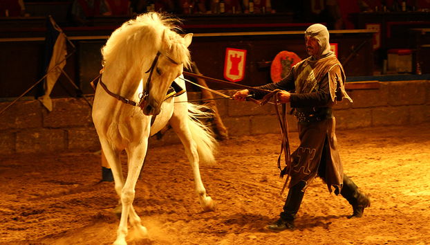 Castillo San Miguel - Entrada - Foto 4