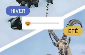 Le Perray Alpine Lodge - Photo 15