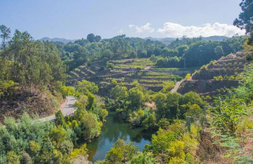 Solar Alegria - Foto 43