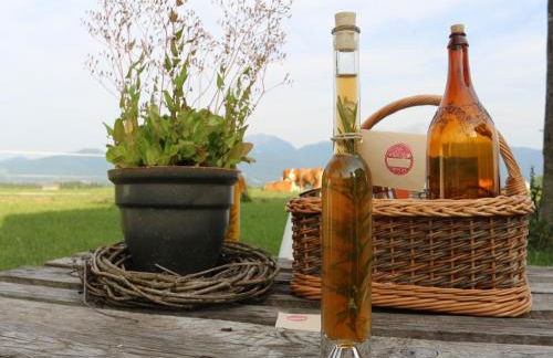 Seeleitenhof - Foto 51