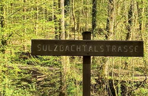 FeWo Sulzbachtal, Nähe Europa-Park, Rulantica, Schwarzwald, Feldberg - Foto 52